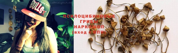 mdpv Баксан