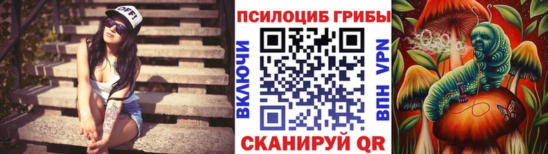 закладка mega маркетплейс дарк нет как зайти Советск Псилоцибиновые грибы мицелий